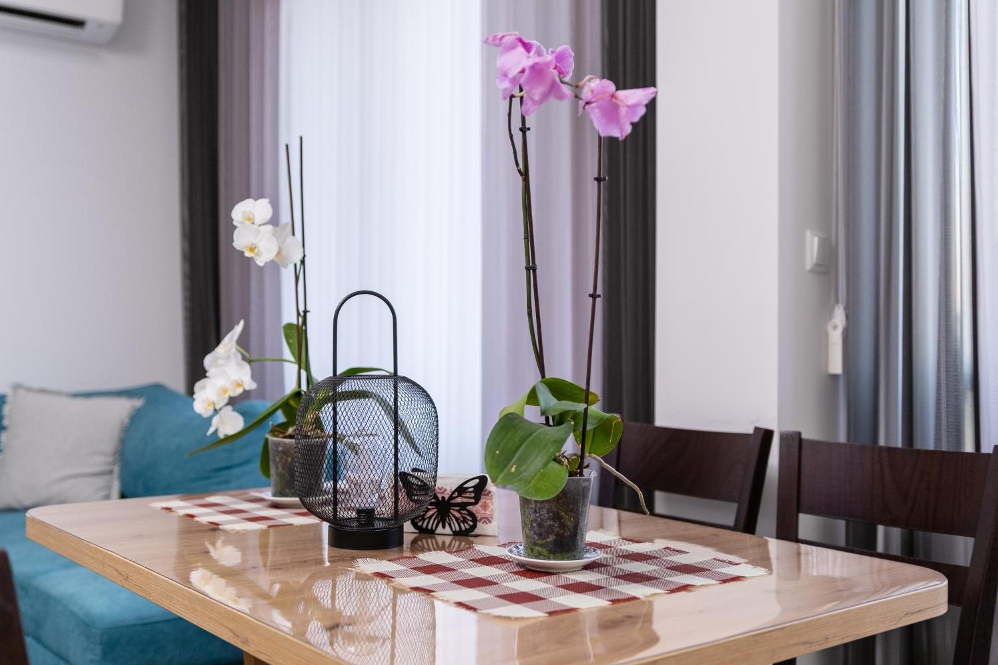 1-Bedroom Apartment With Free Private Parking Plovdiv Ngoại thất bức ảnh